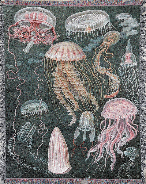 Strike Gently Co - Jellyfish Blanket